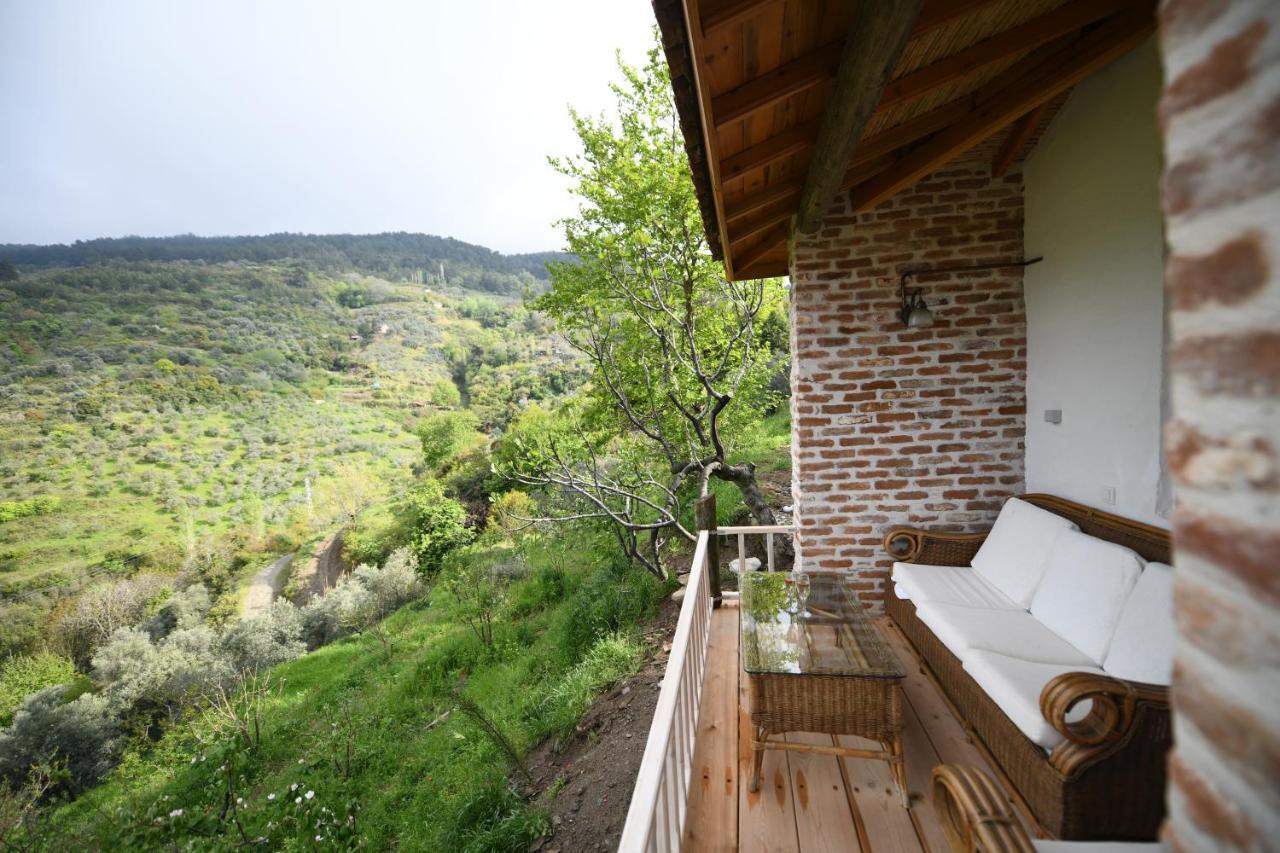 Nisanyan Hotel Selcuk Exterior photo